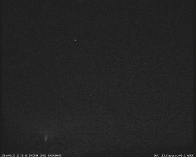 sprites2355a (1 z 1).jpg