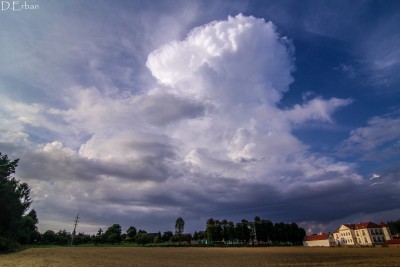 Kovadlina v Kladně