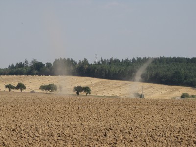 IMG_4353.JPG