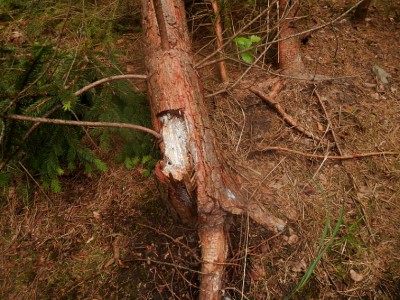 06.jpg