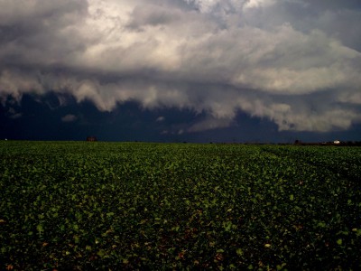 Záběr na shelf cloud